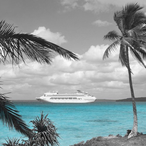 A black and white photo of a large cruise ship in the middle of the ocean. A dirt path and palm trees are in the foreground. The ocean (the only item with color in the photo) is bright blue.